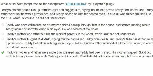 What is the best paraphrase of this excerpt from “Rikki-Tikki-Tavi” by Rudyard Kipling?

Teddy's mot