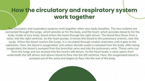 100 POINTS

Create a poster that models interactions between the circulatory and respiratory systems