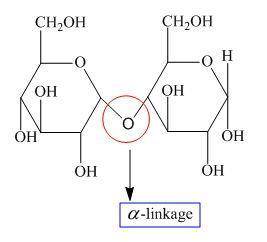 The type of bond that joins monosaccharides and is easily digested by enzymes in the human intestine