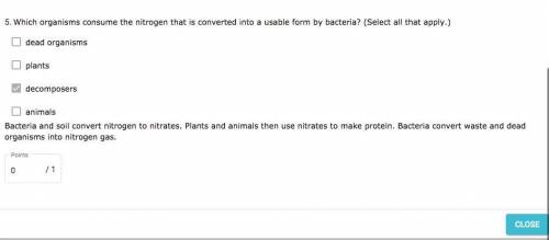 Which organisms consume the nitrogen that is converted into a usable form by bacteria? Select all th