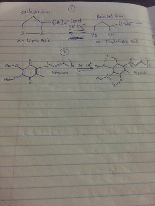 Write a complete balanced redox reaction, wherein electron(s) are transferred between Coenzyme Q and