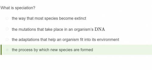 What is speciation? What are the causes of speciation? How does isolation lead to speciation?NO LINK
