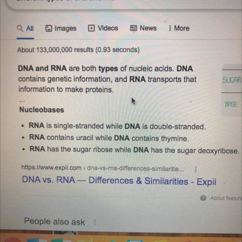 There 3 types of? DNA or rna