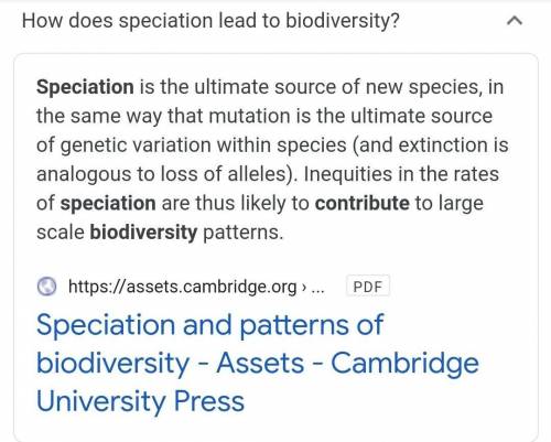 Explain how speciation events have led to increased biodiversity?