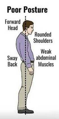 Define the term 'posture'.