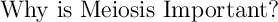 \Large\text{Why is Meiosis Important?}