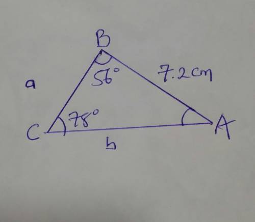 Find the area of the triangle to the nearest tenth . Pleaseeee help
