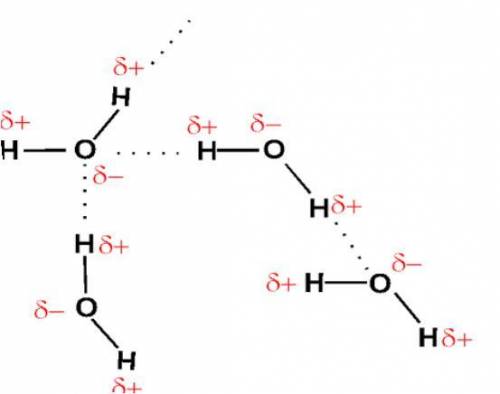 Choose the compound that exhibits hydrogen bonding as its strongest intermolecular force. Choose the