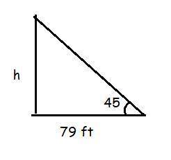 The angle of elevation to a nearby tree from a point on the ground is measured to be 45^{\circ} ∘ .