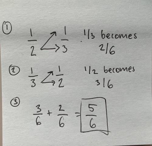What's 1/2 + 1/3? Y'all please help me . And when or if you can give me the answer can you do step-b