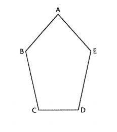 Fred drew the pentagon below how should fred fold the pentagon to determine