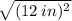\sqrt{ ({12  \: in})^{2} }