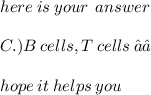 here \: is \: your \: \: answer \:  \\  \\ C.) B \:  cells , T  \: cells  \: ✓✓ \\  \\ hope \: it \: helps \: you