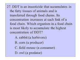 DDT is an insecticide that accumulates in the fatty tissues of animals whose concentration increases