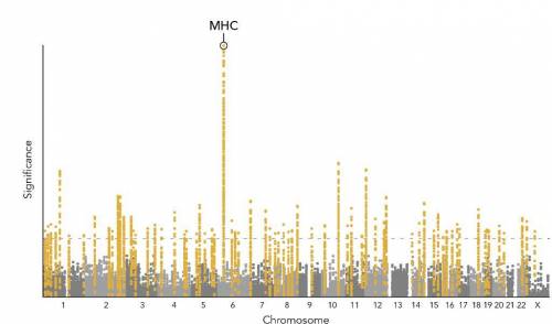 In one study, 108 regions of the genome were identified to be significantly associated with schizoph