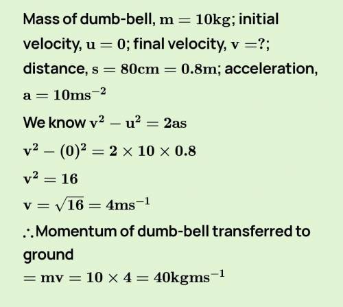 18.How much momentum will a dump-bell of mass 10 kg transfer to the floor if it falls from a height.