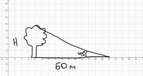ative section 3. a) The angle of elevation of the top of a tree observed from a point 60 m away from