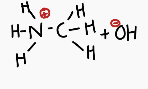 Methylamine is a base because it can bond to H+. Draw Lewis structures to show how methylamine react