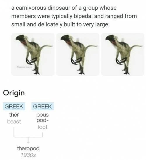 What is the meaning of theropod​