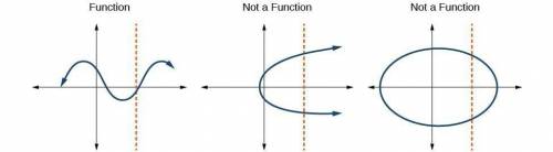Is this a function or no ?