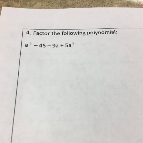 Plz help me factor the following polynomial