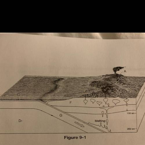 What type of plate boundary is illustrated in Figure 9-1? a. convergent oceanic-oceanic boundary b.
