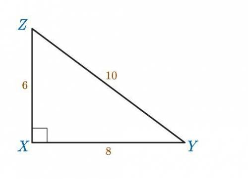URGENT Find the sine of angle Y