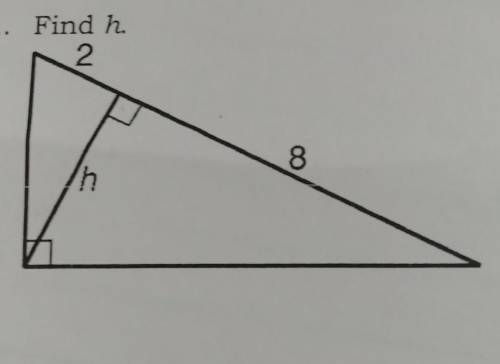 Please help and explain how to do this I have a test over it tomorrow