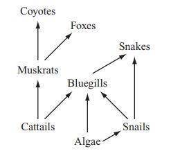 A partial food web is shown below. Which of the following organisms has the greatest biomass? plz be
