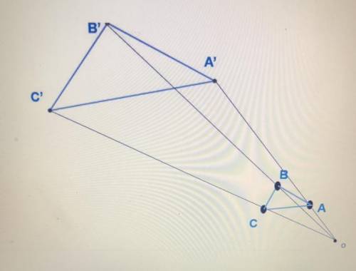 Triangle ABC is dilated from point O. |OA| = 2 and |OA’| = 7. Using scale factor you determined in t
