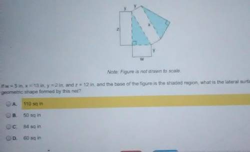 What is the lateral surface area of the shape formed by this net .