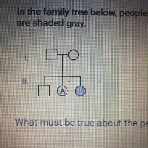 In the family tree below, people with the recessive trait of attached earlobes are shaded gray. What