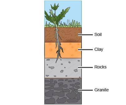 Which layer will become saturated first when rain falls? clay granite rocks soil