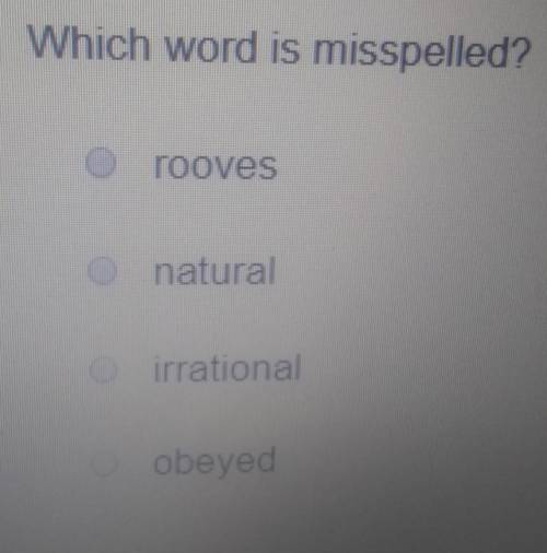 Which word is misspelled