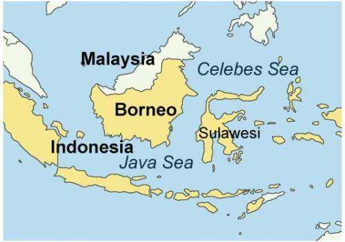 Which of the following bodies of water travels between the islands of Borneo and Sulawesi in Indones
