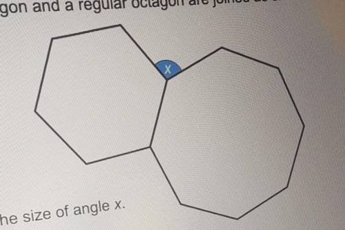 A regular hexagon and a regular octagon are joined as shown on the diagram.Work out the size of angl