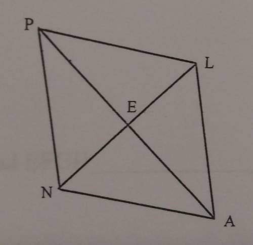 Rhombusa. Determine what type of triangle PNA is and how do you know?_________why___________________