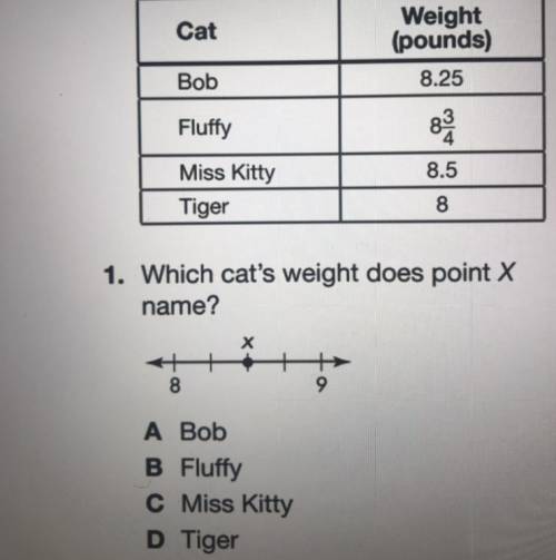 Which cat’s weight does point X name?