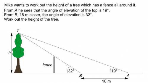 Work out the height of the tree~ look at the attachment below x