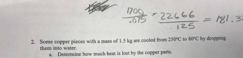 What is thermodynamics