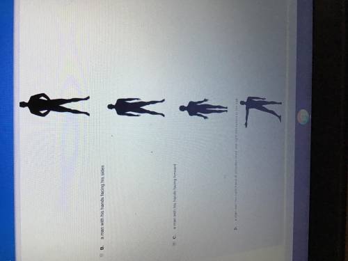 Which Silhouette shows the human anatomical position