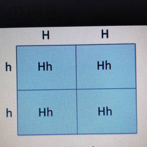 H Hh Hh h Hh Hh Based on the Punnett square, what is the phenotype of the offspring? Hh HH tall shor