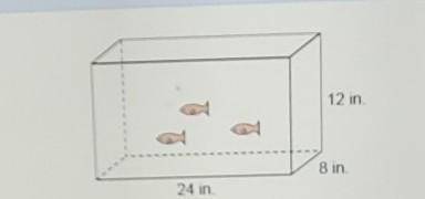 What is the volume of this aquarium?A. 96 in^3B. 2,304 in^3C. 3,216 in^3D. 4,608 in^3( Will give bra