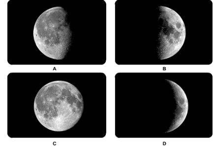 Please help asap  put the moon phases in order from first to last phase  A) D,B,C,A.  B) A,C,B,D.  C