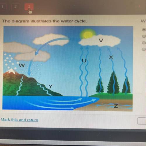 The diagram illustrates the water cycle.  Which process occurs at location W? precipitation evaporat