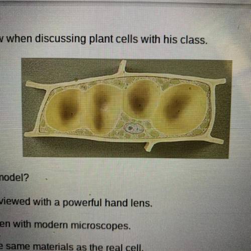 Mr. Brown used the model shown below when discussing plant cells with his class. What is the best re