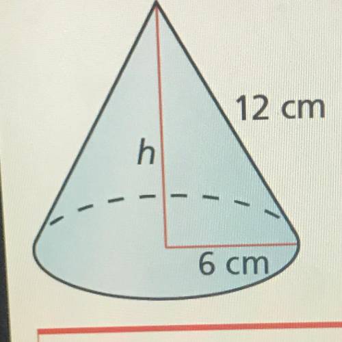 What is the height of this cone?
