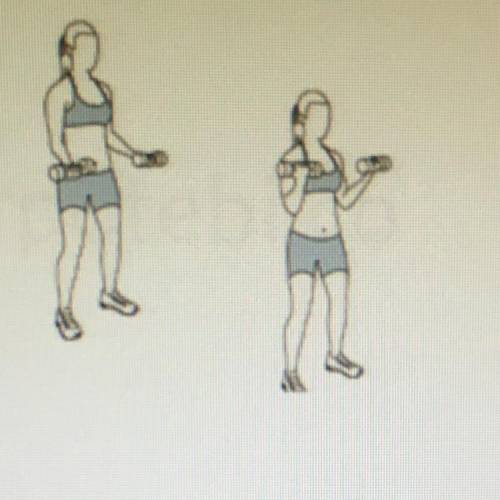 The picture represents what exercise? Bicep Curl Tricep curi Bicep crunch Bicep extension