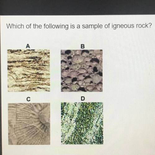 Which of the following is a sample of igneous rock?