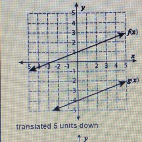 Choose all that correctly describe the transformation of the line f(x) to g(x).
